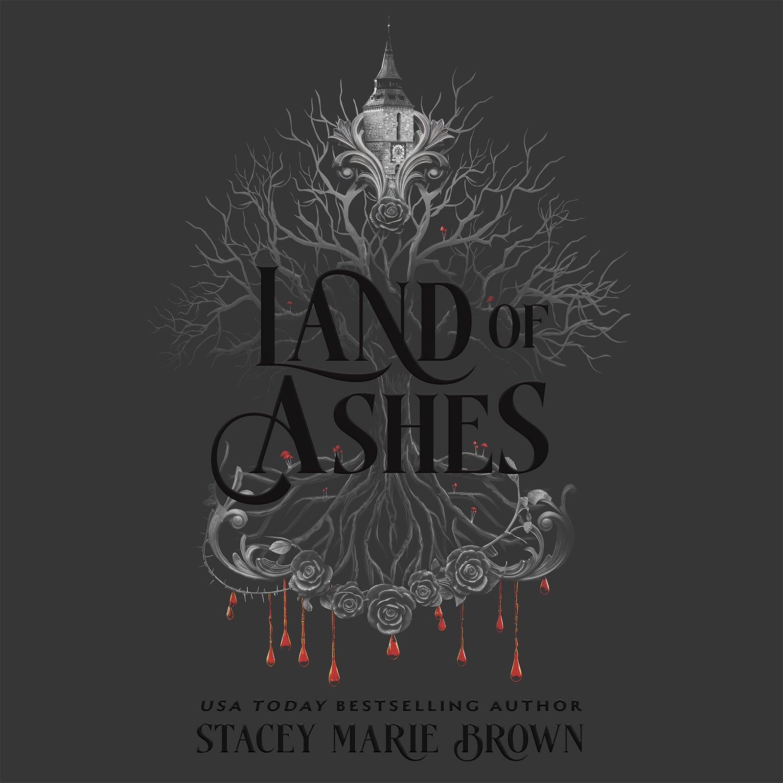 Land of Ashes