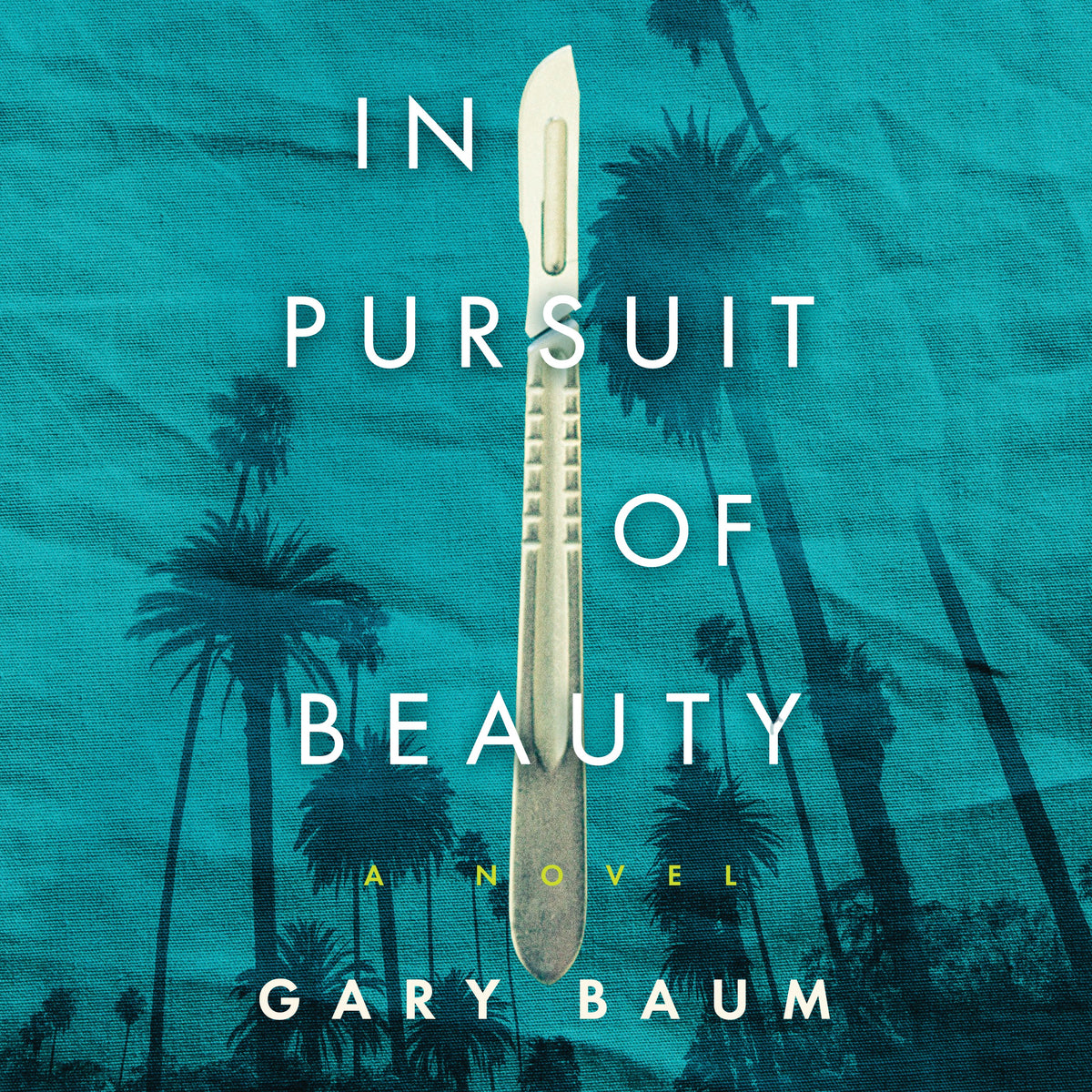 In Pursuit of Beauty