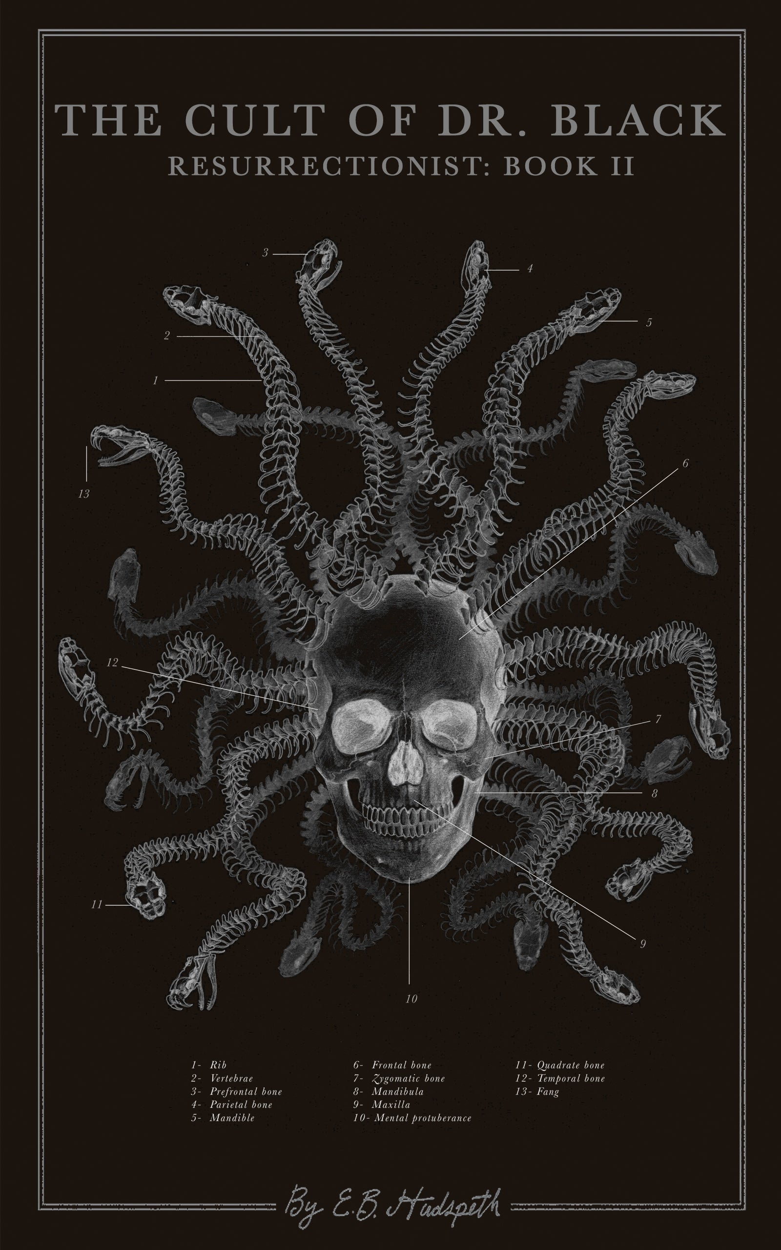 The Cult of Dr. Black