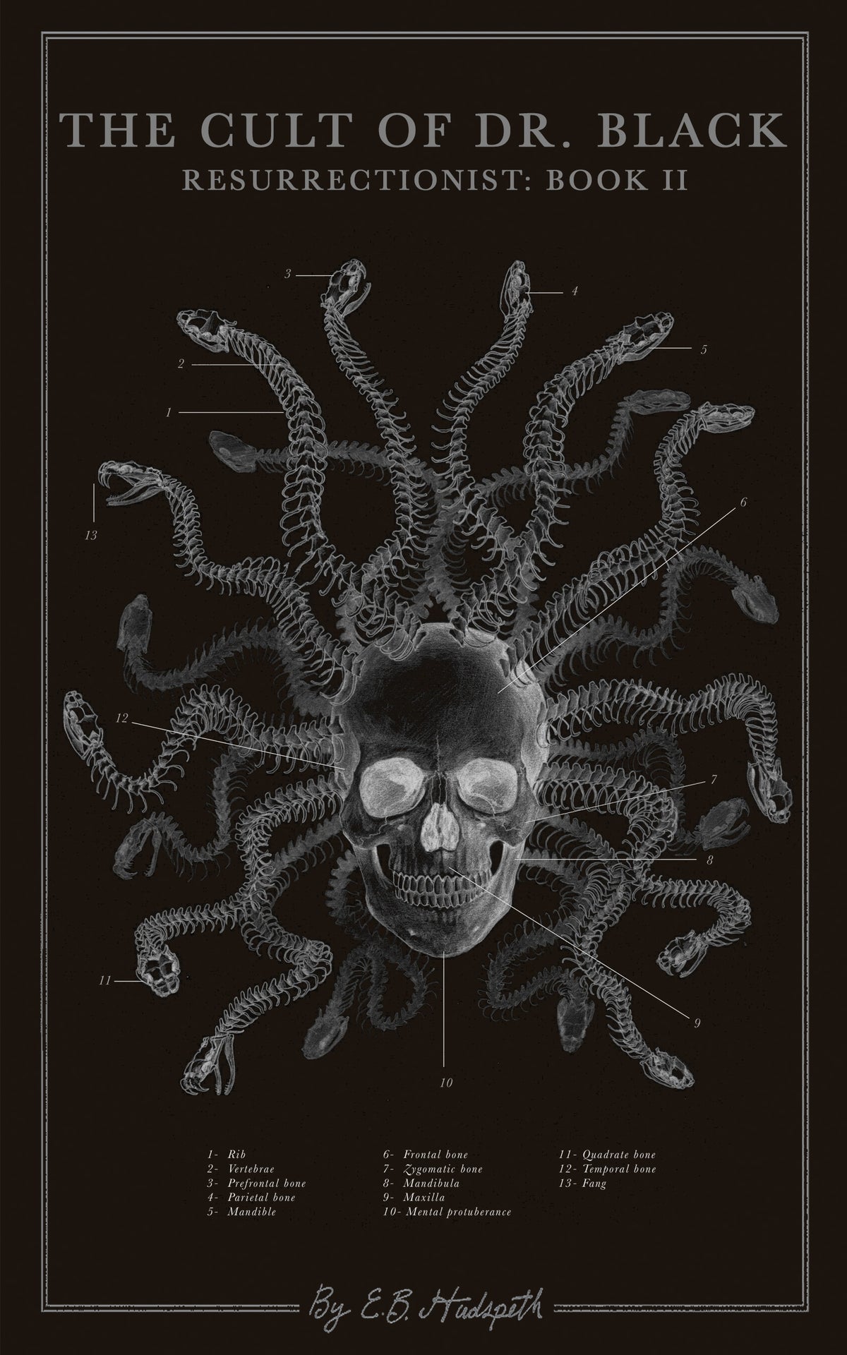 The Cult of Dr. Black