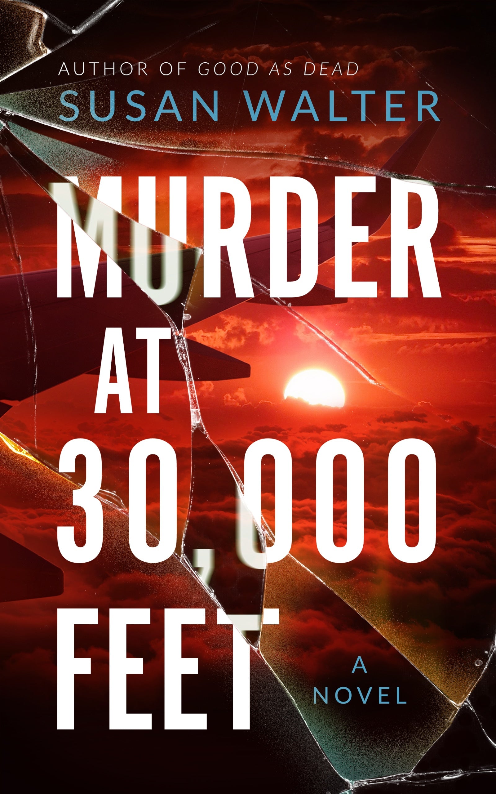 Murder at 30,000 Feet Murder at 30,000 Feet