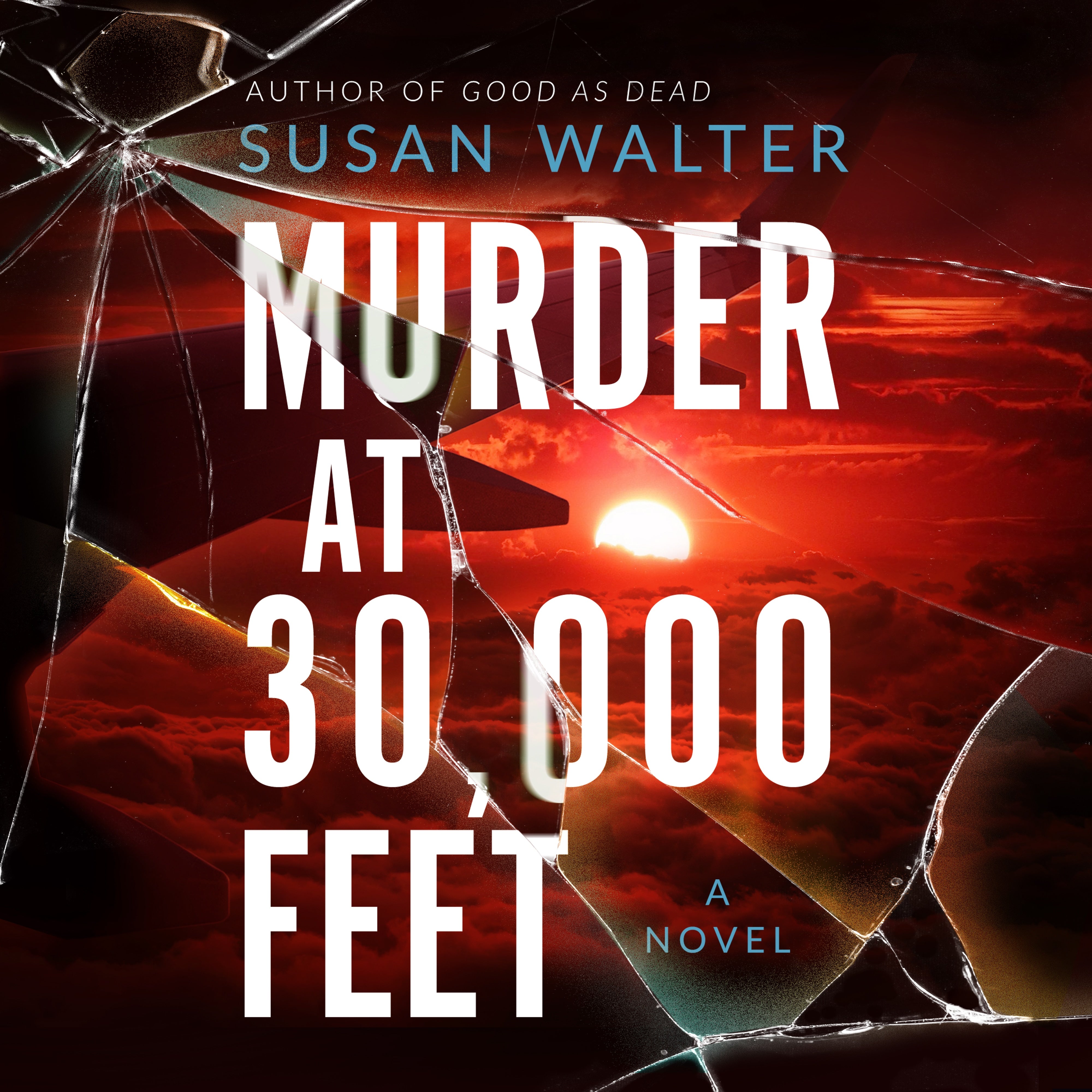 Murder at 30,000 Feet
