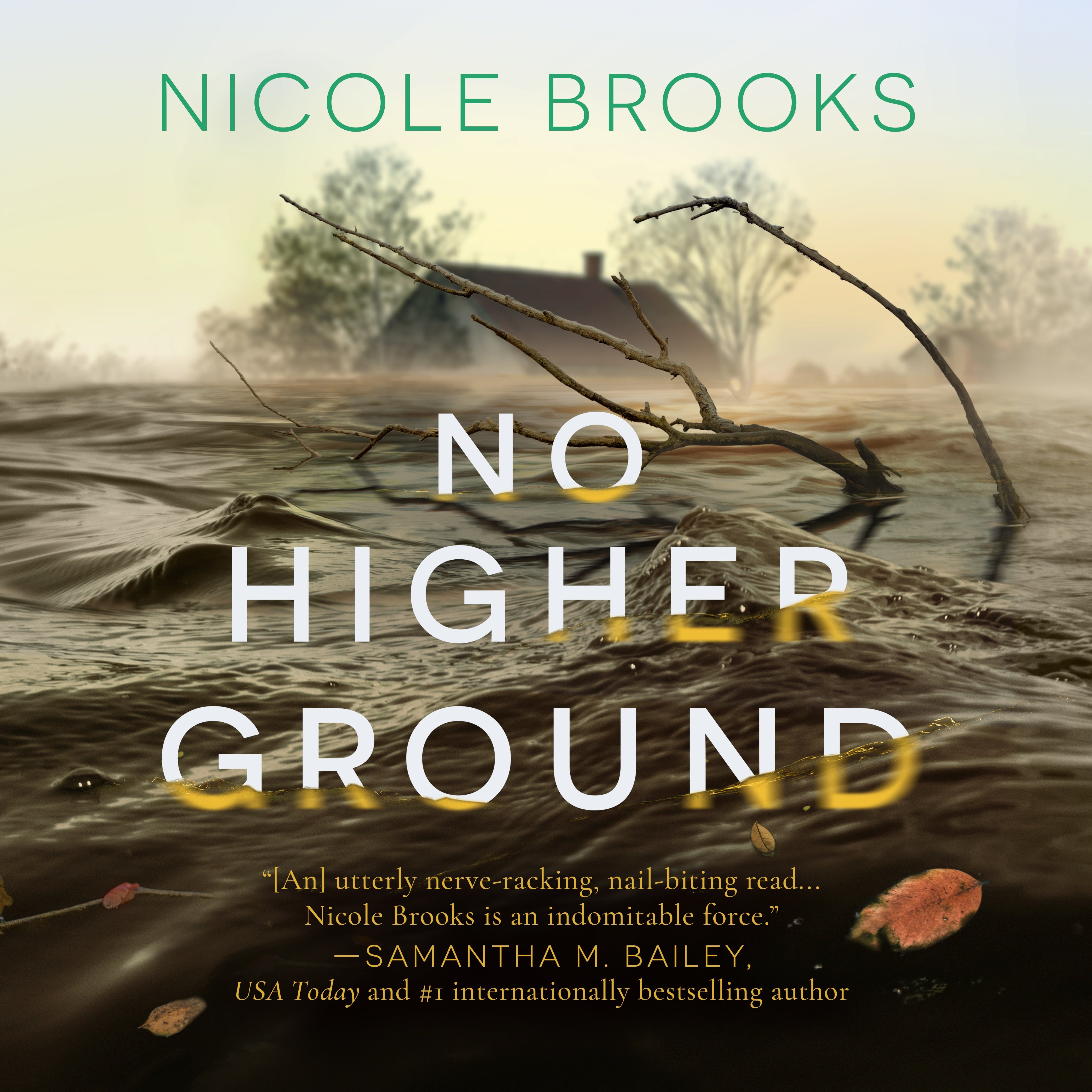 No Higher Ground
