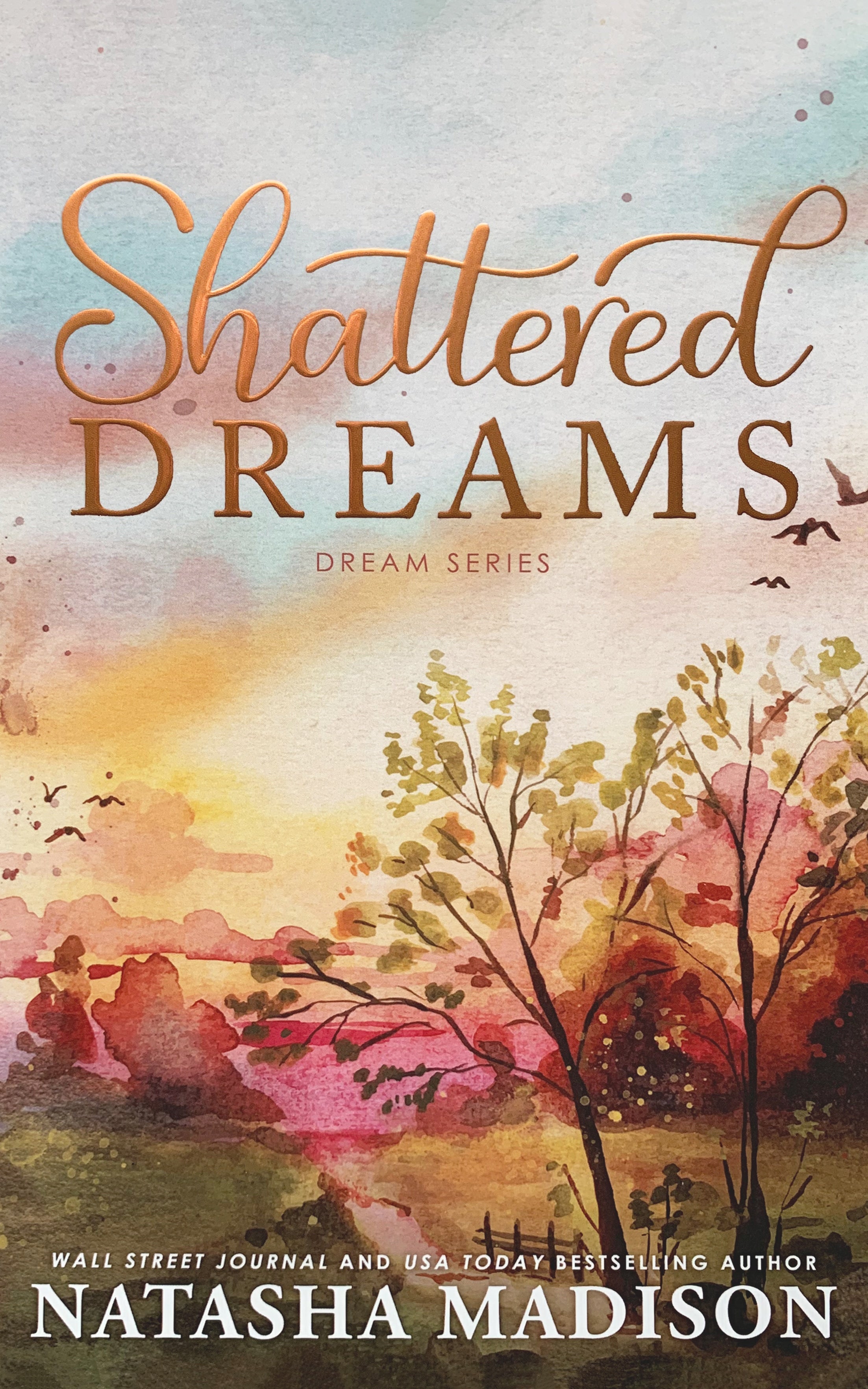 Shattered Dreams