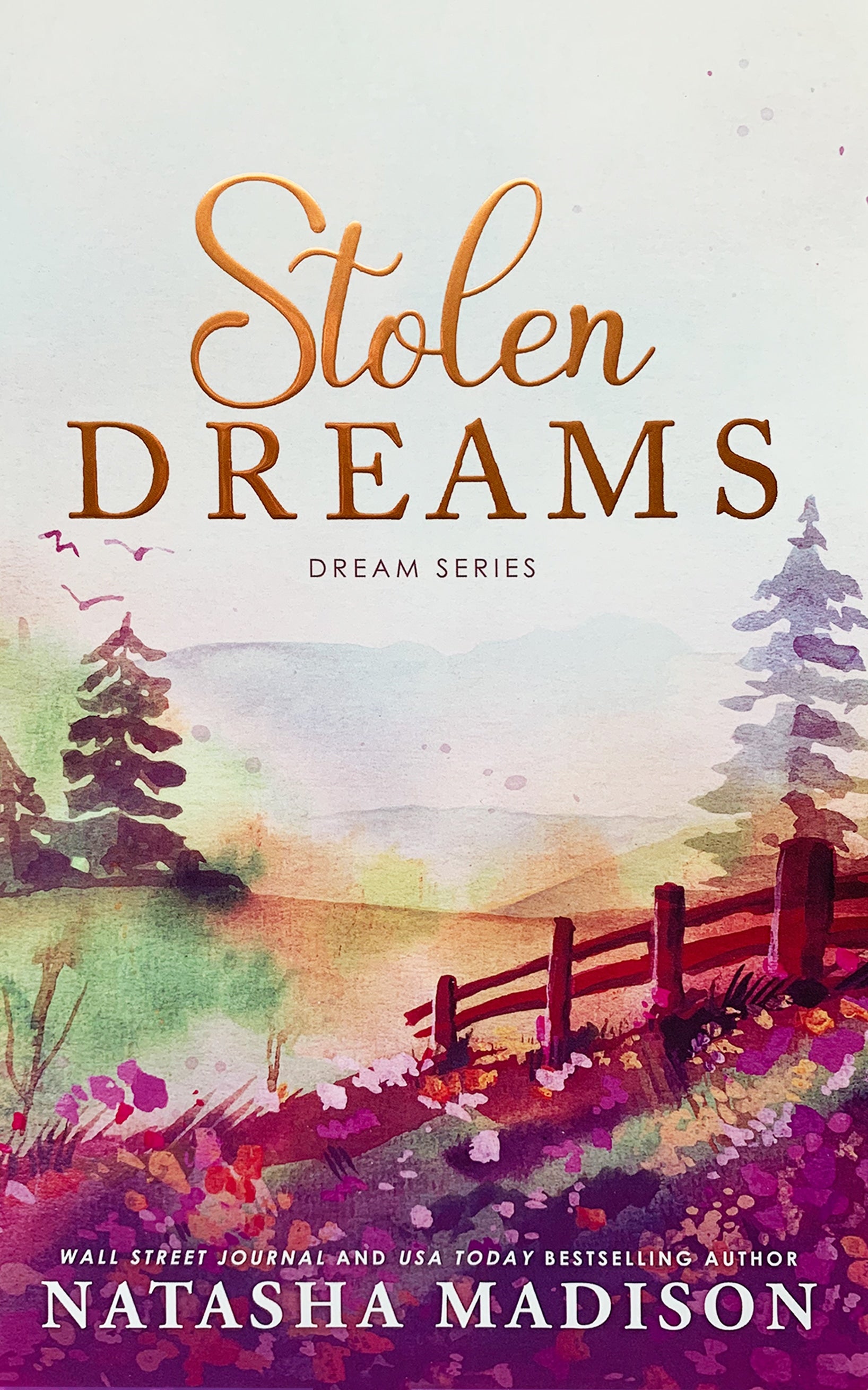 Stolen Dreams