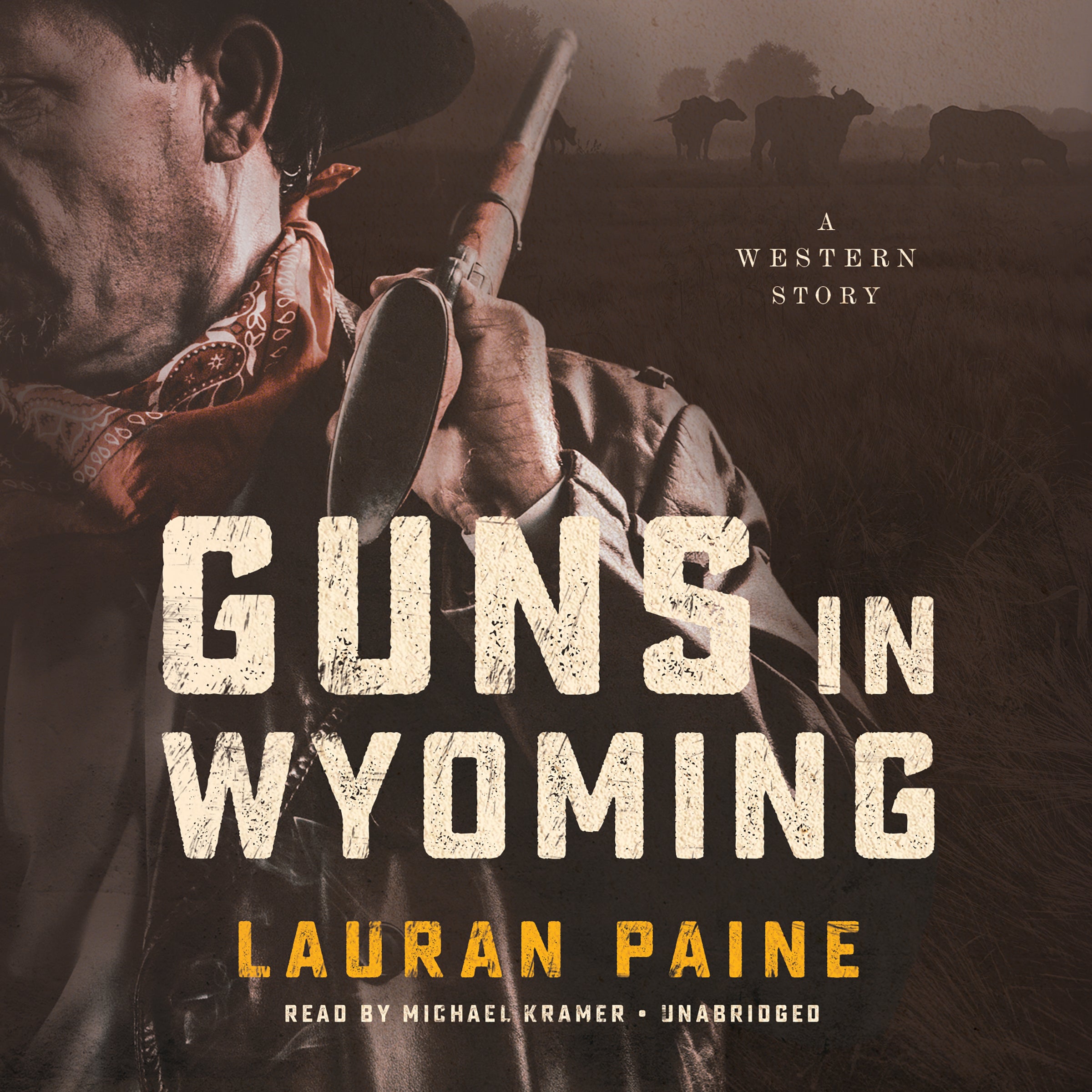 Guns in Wyoming