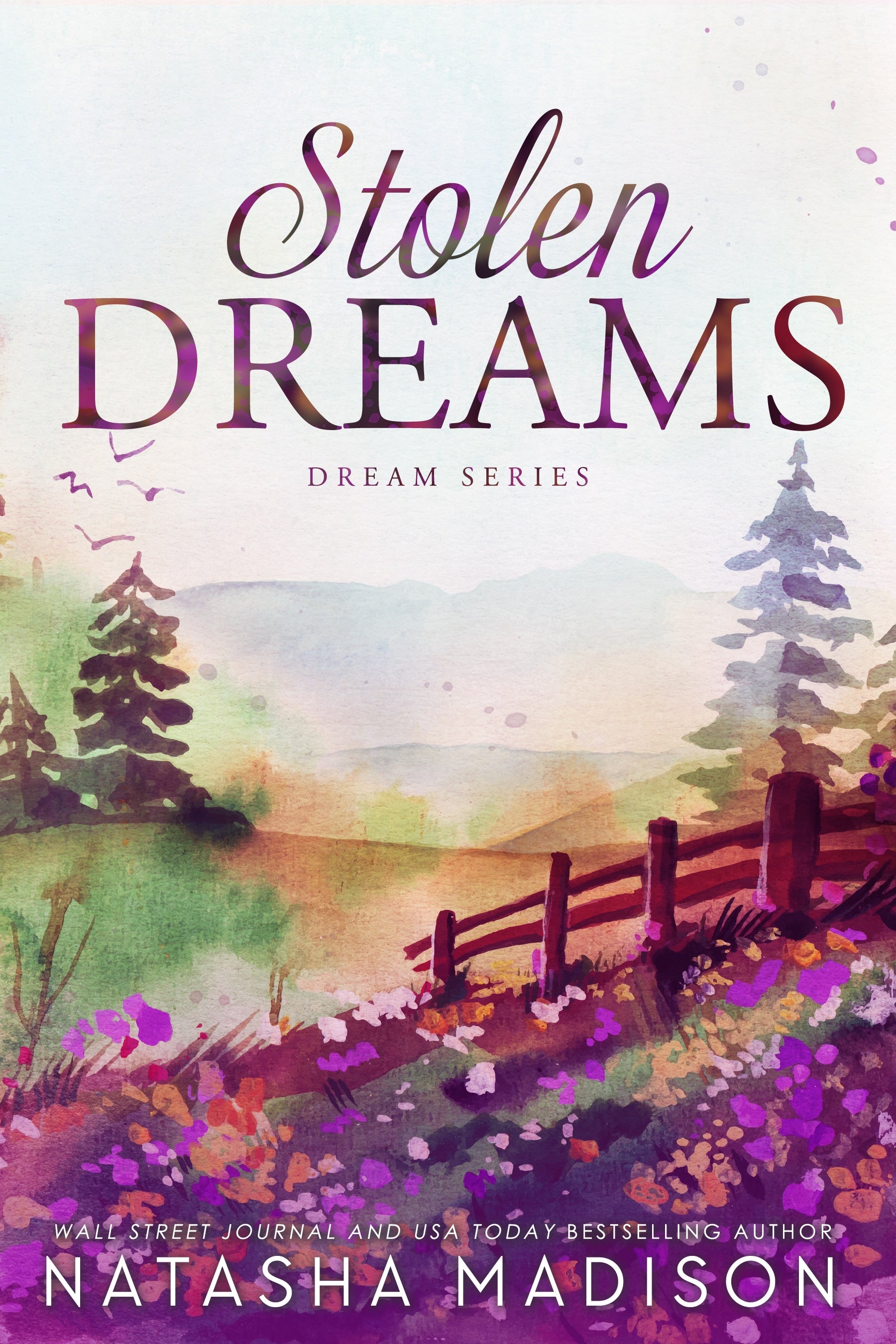 Stolen Dreams