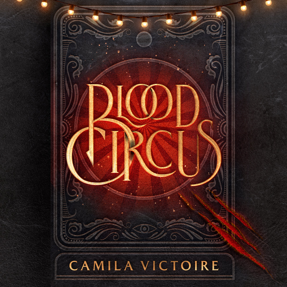 The Birthday「BLOOD AND LOVE CIRCUS」 The Birthday - Blood And Love Circus / VG / LP, Album | eBay