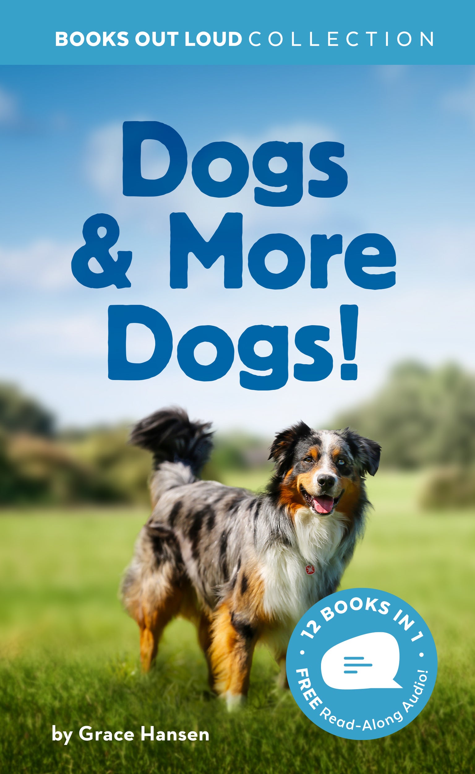 Dogs &amp; More Dogs!
