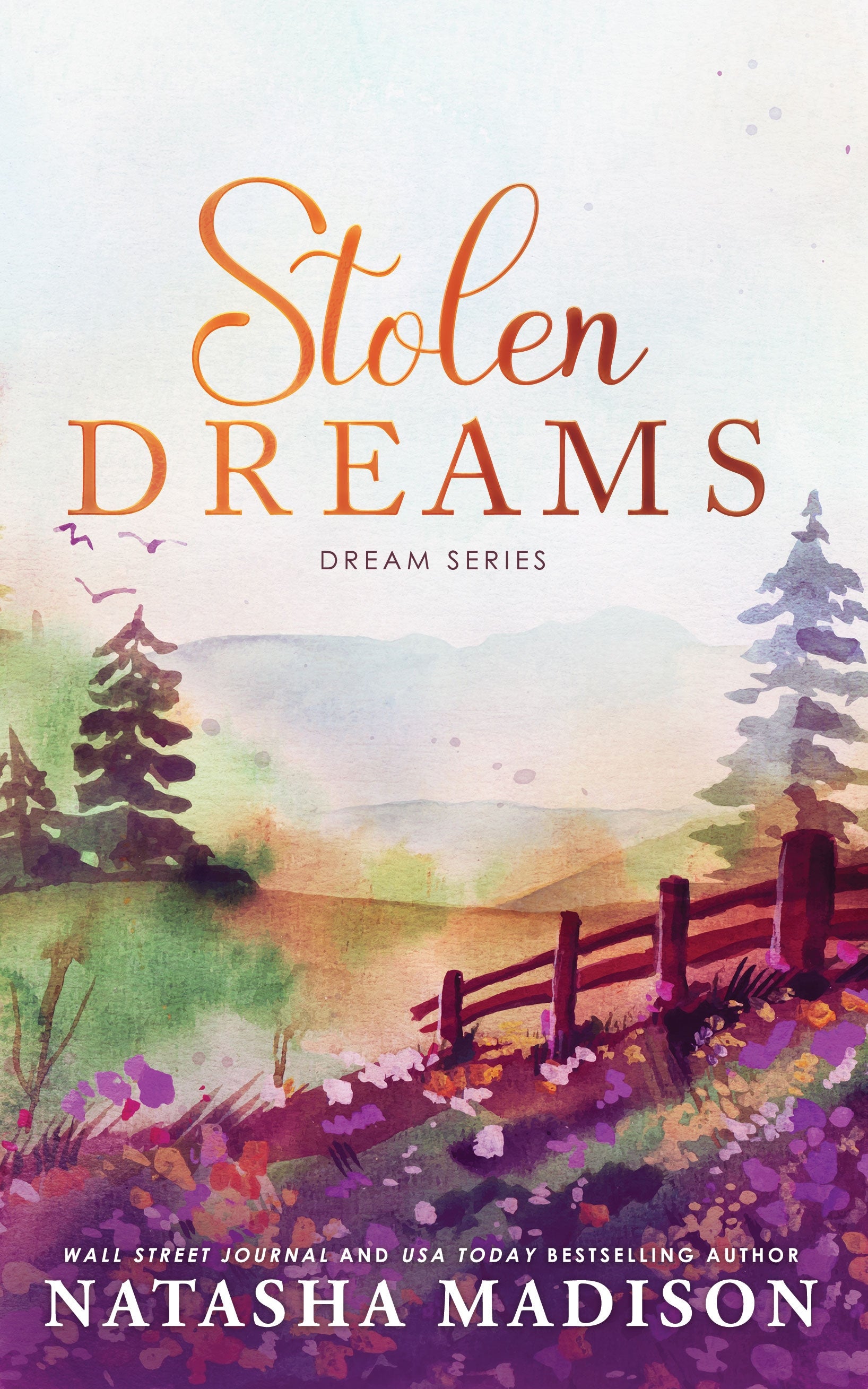 Stolen Dreams