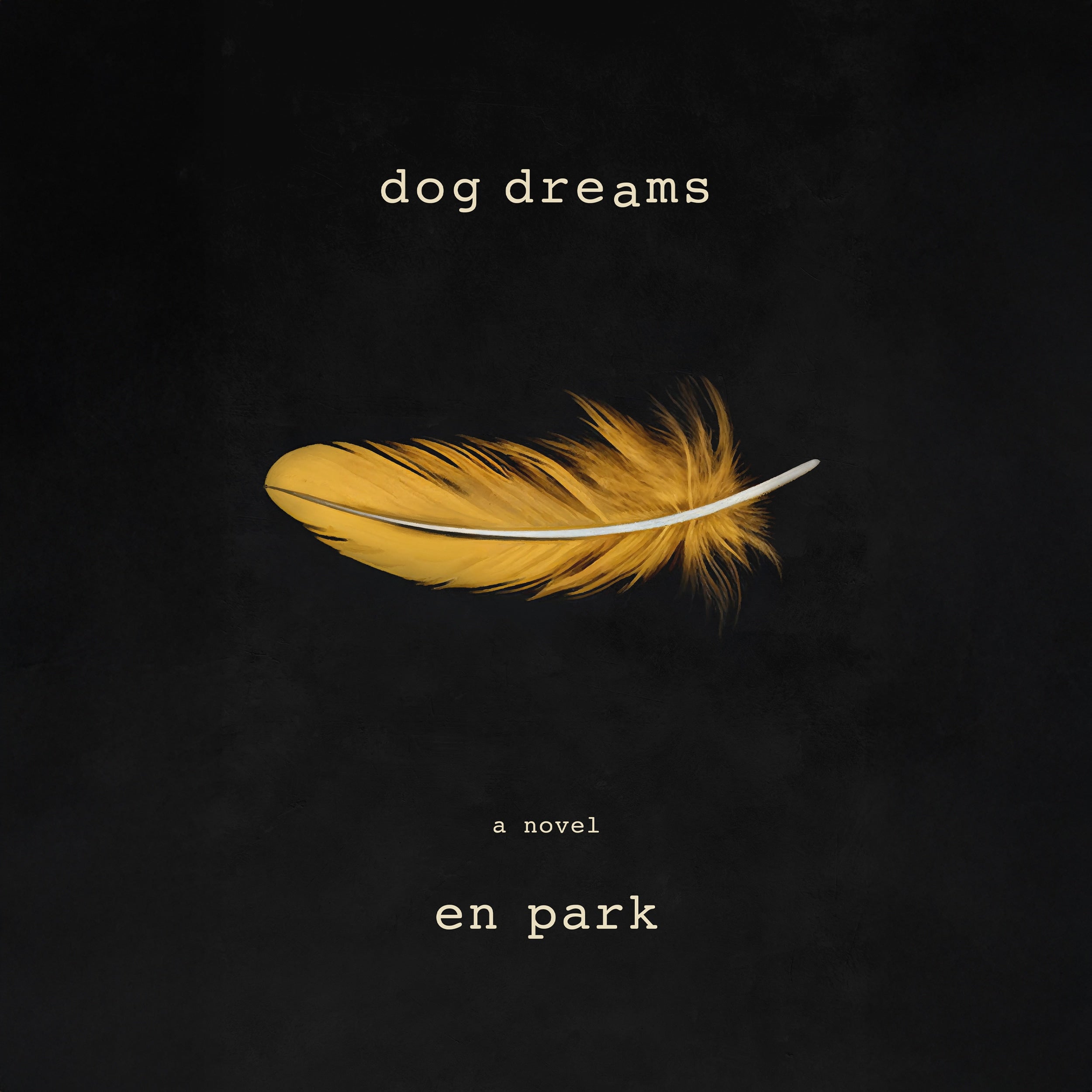 dog dreams
